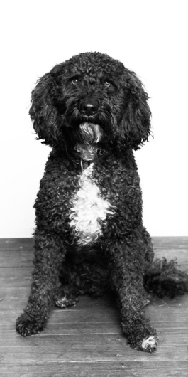 beyond global agency